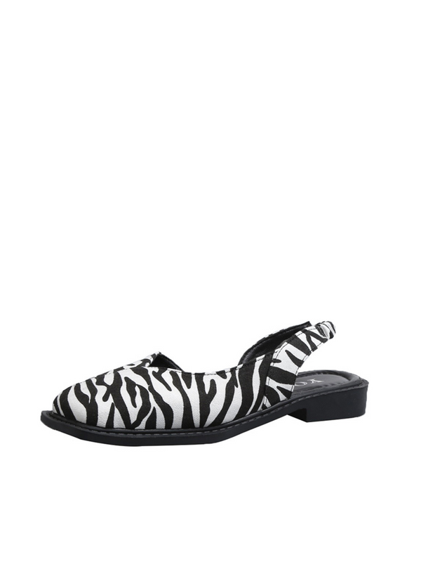 Color_Zebra